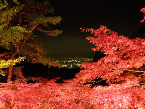 大山寺からの夜景